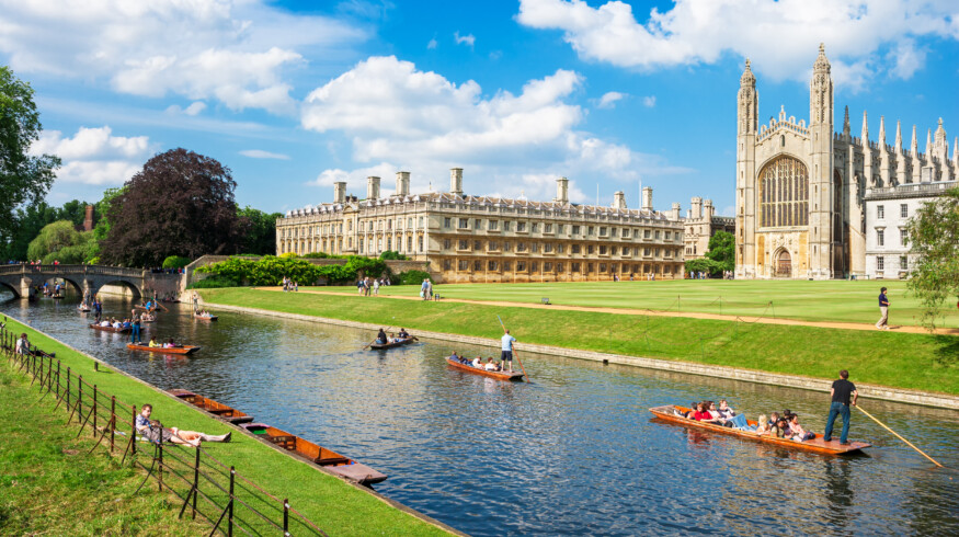 Cambridge scientists identify gut bacteria that may protect against PFAS chemical exposure
