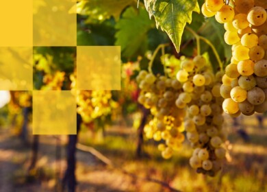 US Agriculture partners with CeresAI to bring AI oversight to farmland portfolio