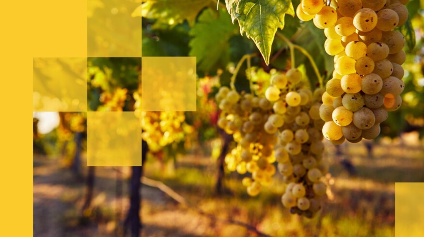 US Agriculture partners with CeresAI to bring AI oversight to farmland portfolio