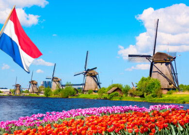 Nitrogen pollution caused Netherlands $17.2 billion in damage, says confidential government report 