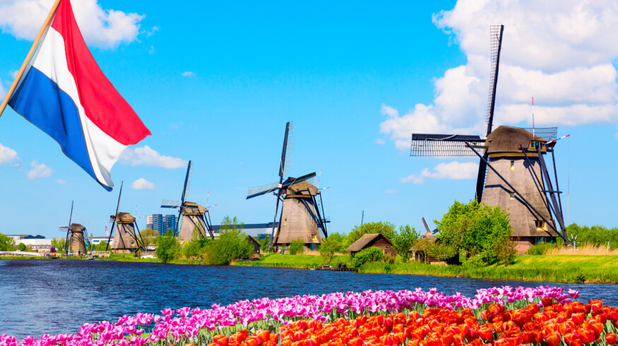Nitrogen pollution caused Netherlands $17.2 billion in damage, says confidential government report