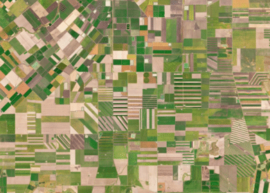 Farmdar and Planet deepen collaboration to advance AI-powered crop intelligence