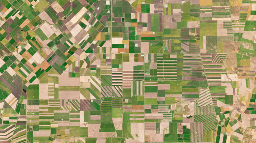 Farmdar and Planet deepen collaboration to advance AI-powered crop intelligence