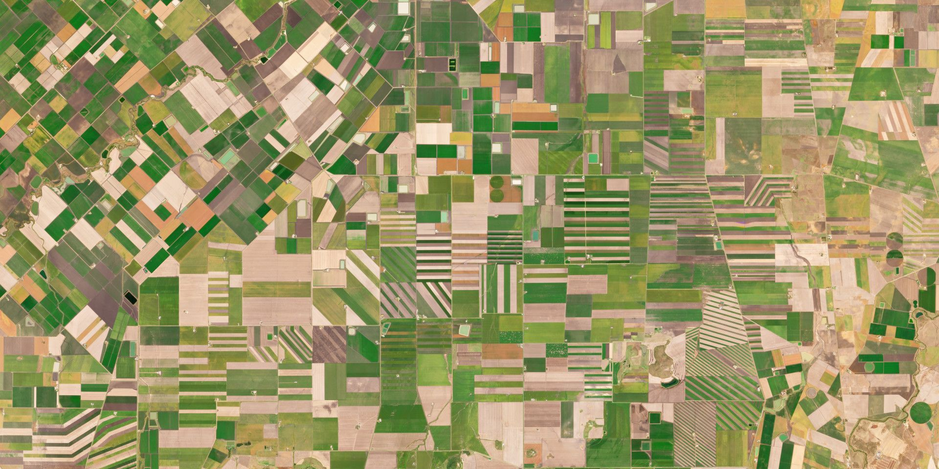Farmdar and Planet deepen collaboration to advance AI-powered crop intelligence