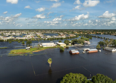 University of Florida scientists to build AI tool for crop damage assessment after hurricanes