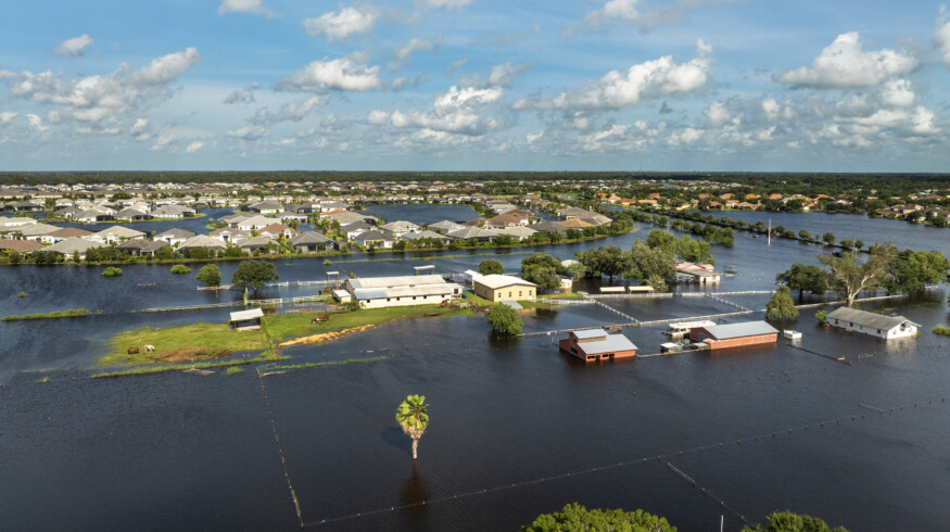 University of Florida scientists to build AI tool for crop damage assessment after hurricanes