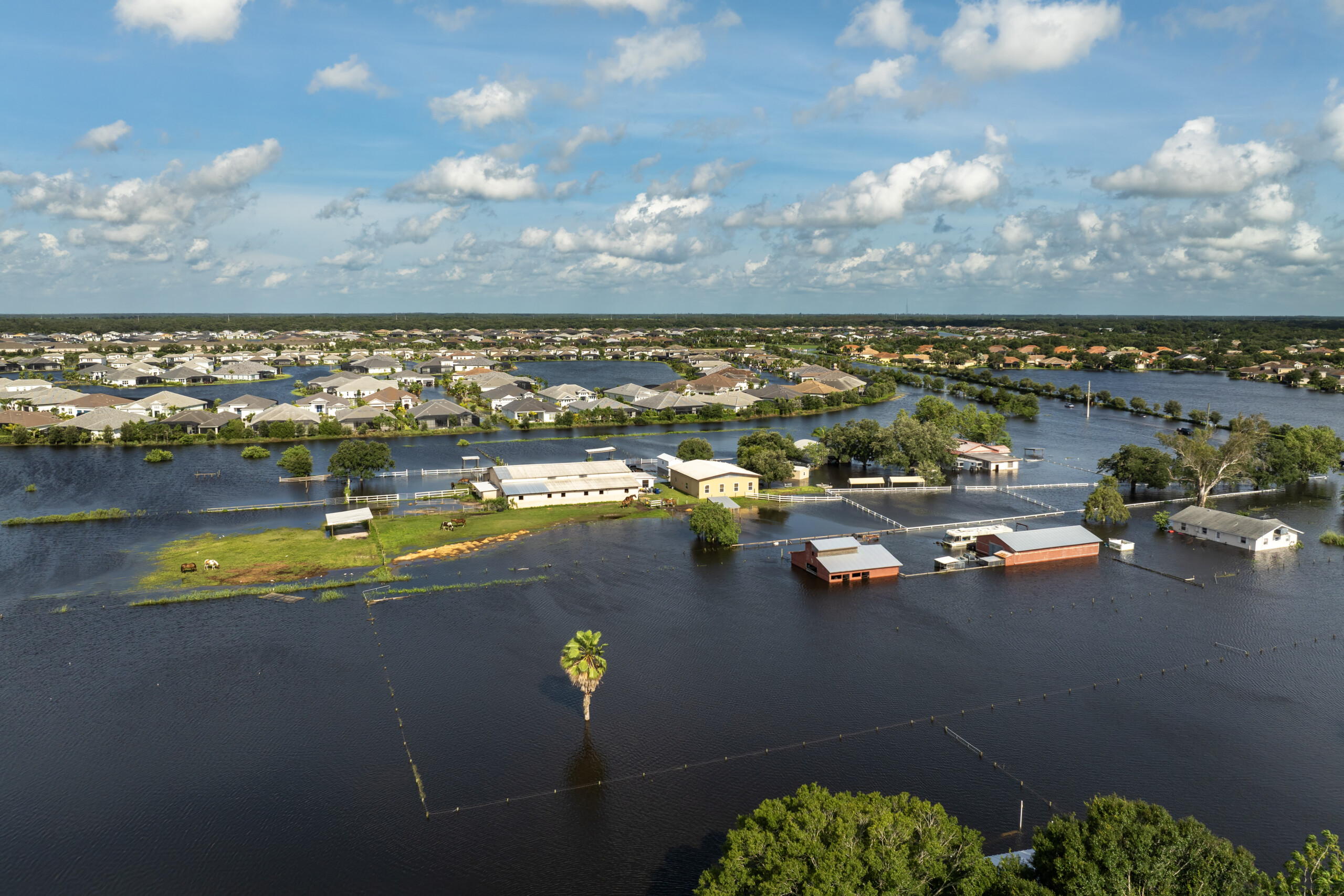 University of Florida scientists to build AI tool for crop damage assessment after hurricanes