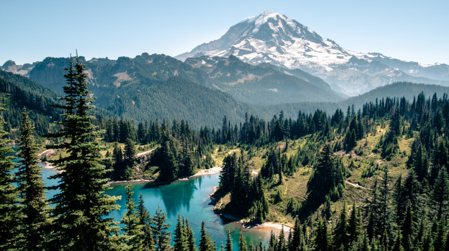 USDA commits $80 million to expand timber markets and improve forest resilience