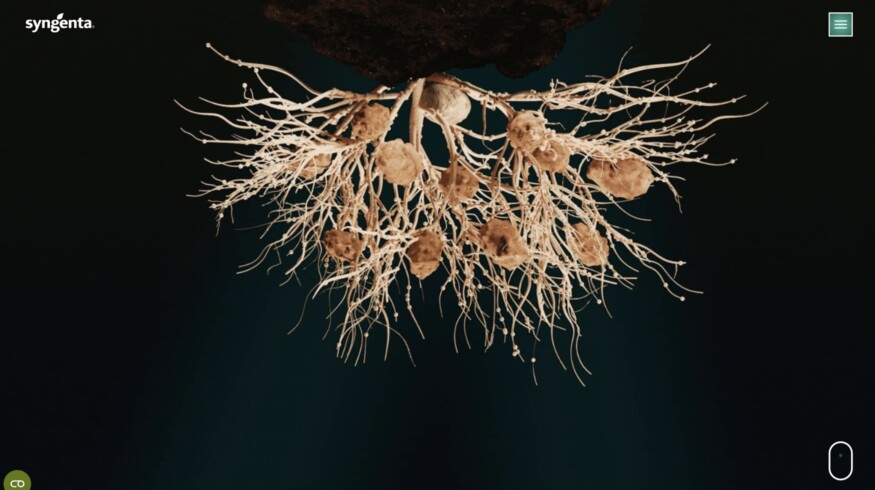 Syngenta registers TYMIRIUM technology in Brazil to combat nematodes and soil diseases