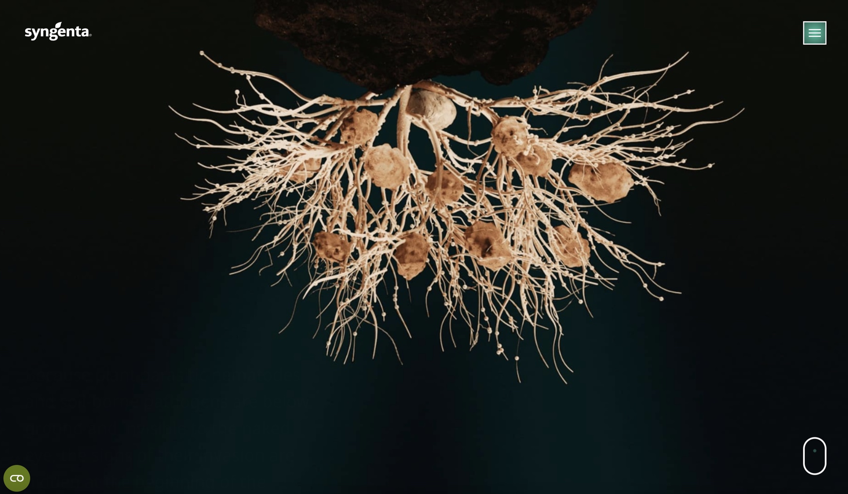 Syngenta registers TYMIRIUM technology in Brazil to combat nematodes and soil diseases