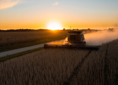 Incurable crop diseases threaten Missouri’s $5 billion corn and soybean industry