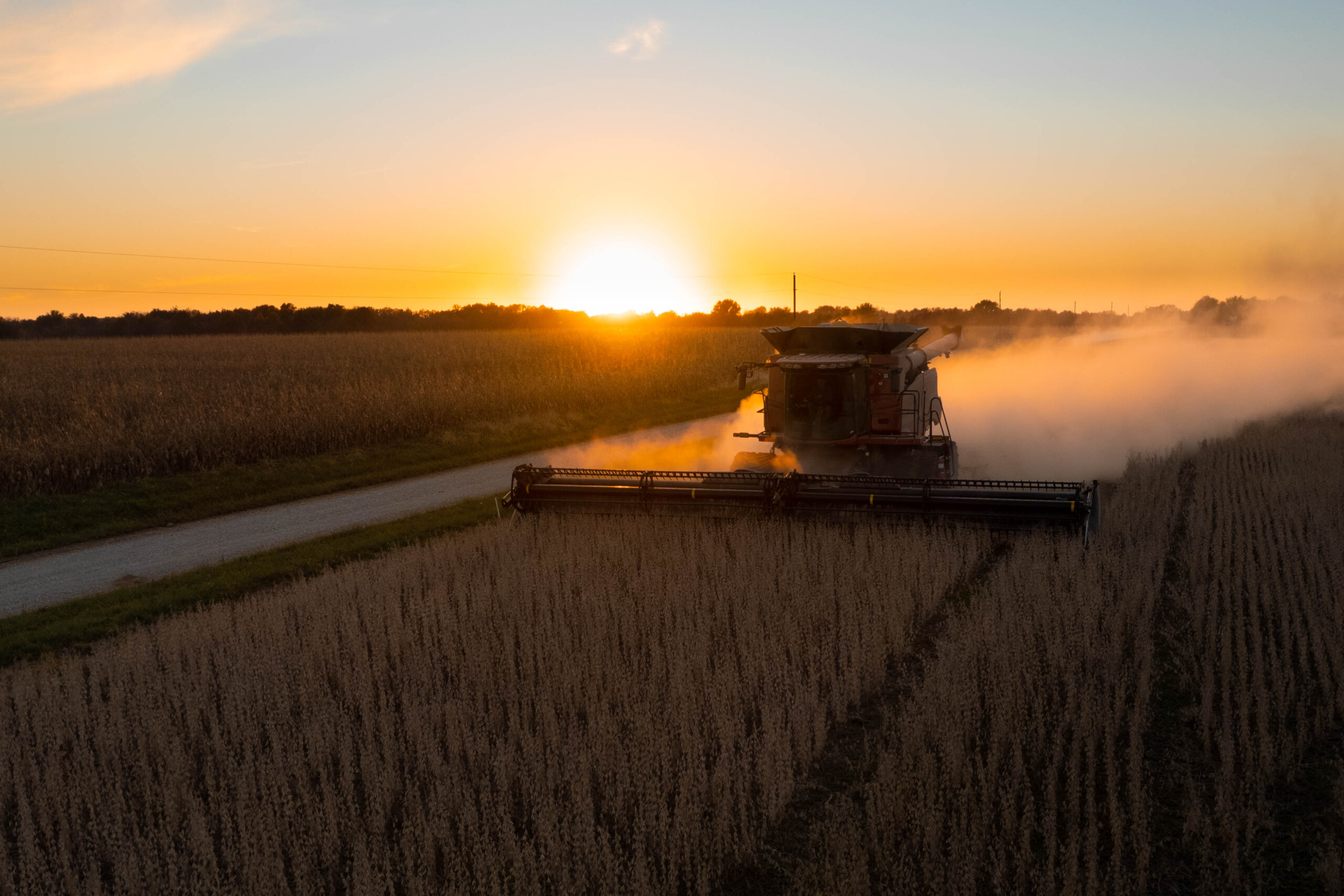 Incurable crop diseases threaten Missouri’s $5 billion corn and soybean industry