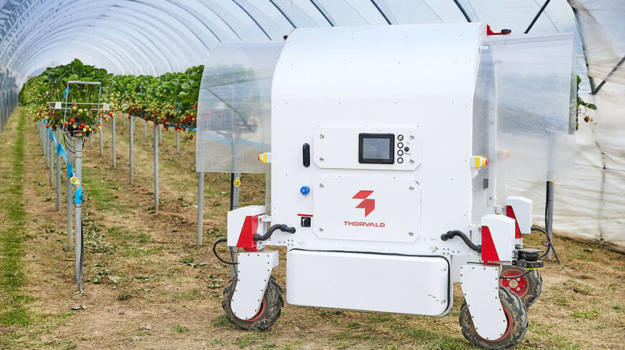 Saga Robotics, Bitwise Agronomy and Chambers Farm partner to enhance strawberry yield forecasts