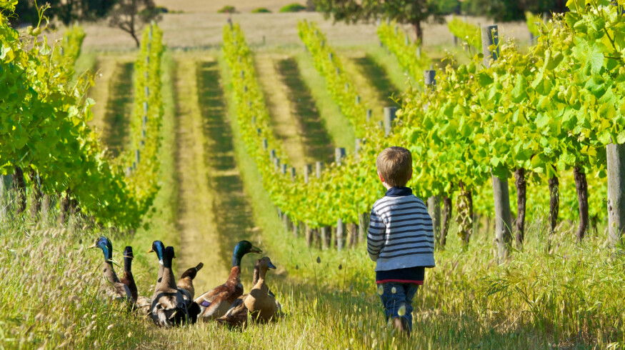 RLF AgTech secures national deal with Nutrien and raises $4.5 million to fund expansion