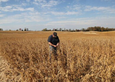 ASA presses President Trump to end China tariff standoff