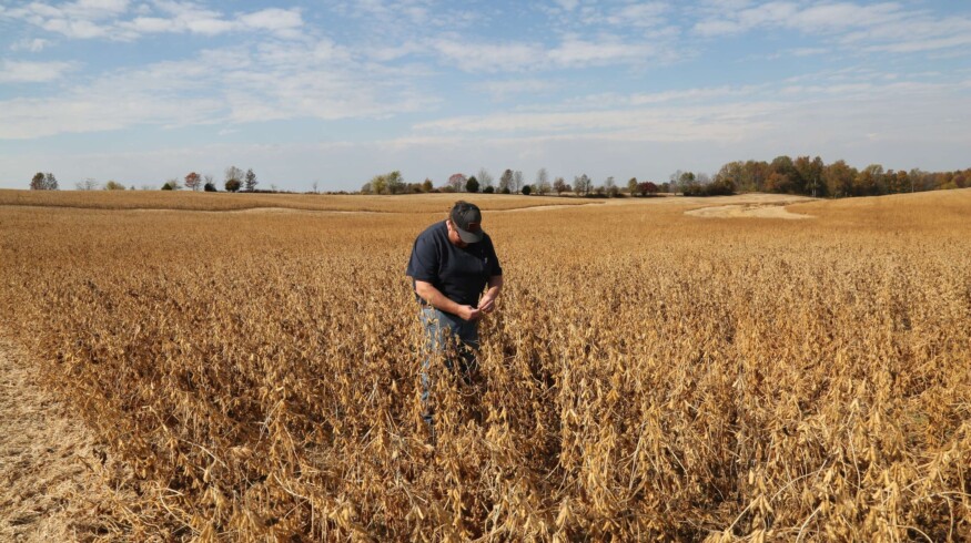 ASA presses President Trump to end China tariff standoff