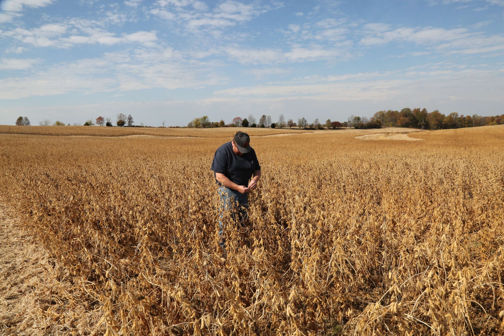 ASA presses President Trump to end China tariff standoff