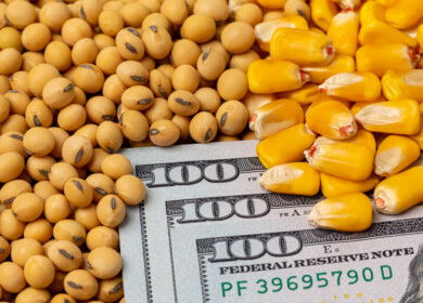 USDA projects record US corn yields, soybeans slip; global trade impact expected