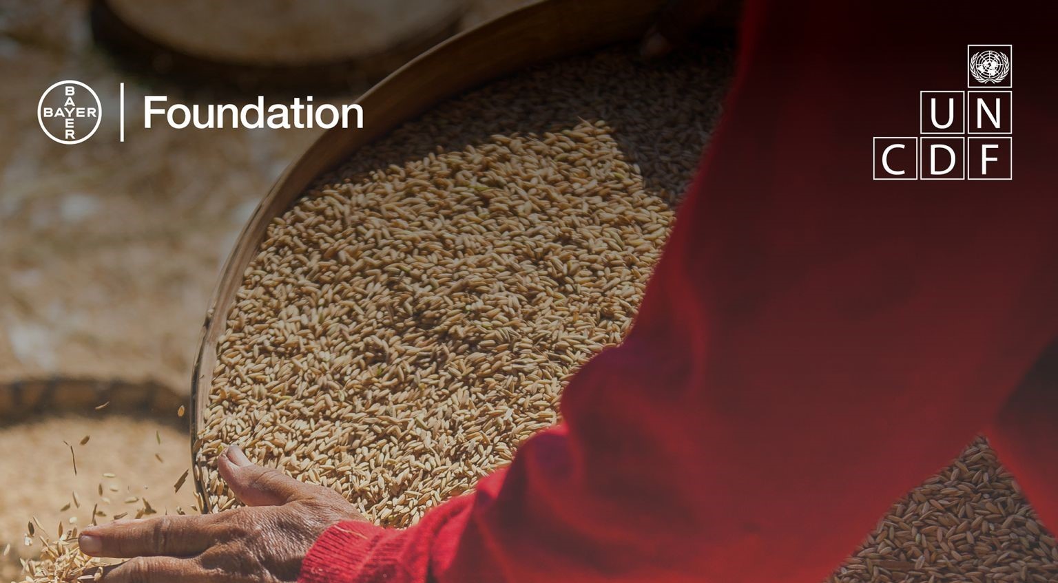 Bayer Foundation commits $4.5 million to UNCDF food security facility