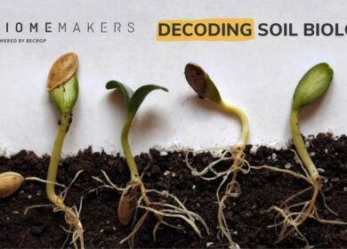 Biome Makers partners with Midwest Laboratories to expand biological soil testing in the US