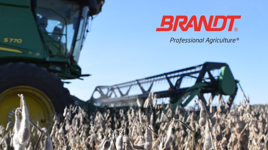 Brandt appoints Mauricio Andrião to lead international operations