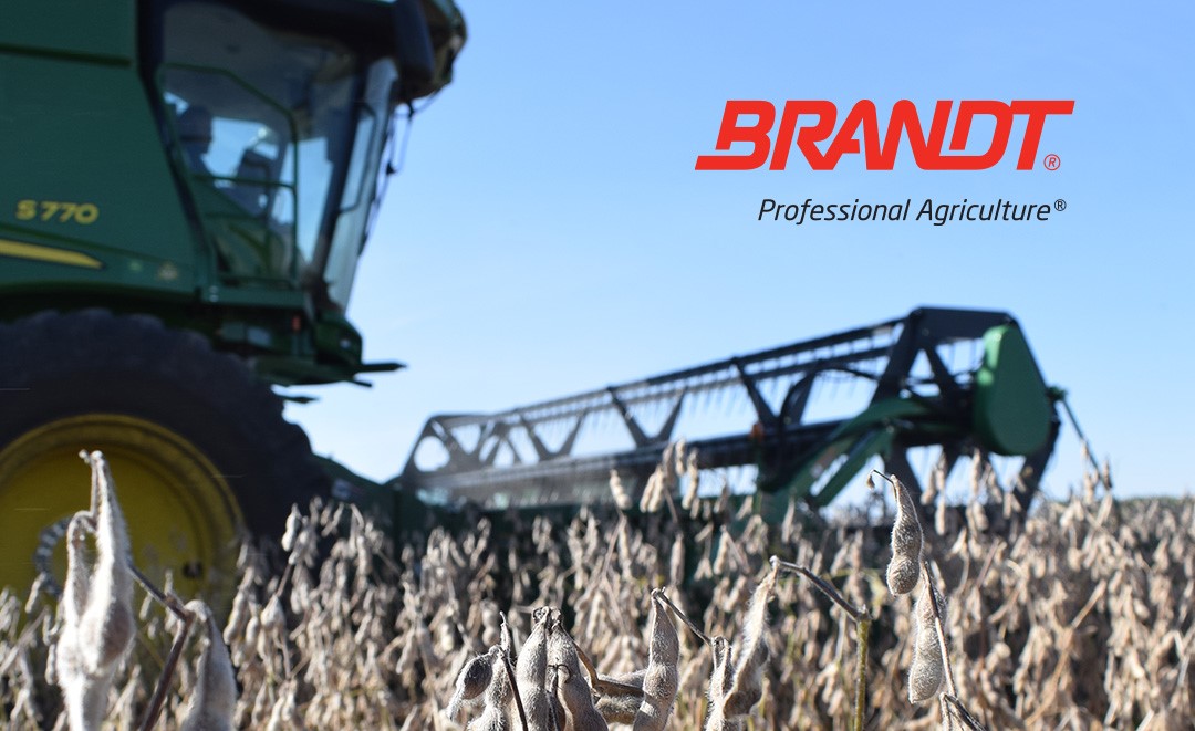 Brandt appoints Mauricio Andrião to lead international operations