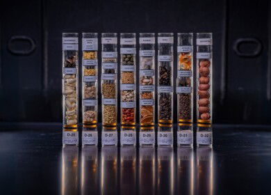 Brazil sends seeds to International Space Station for agricultural research