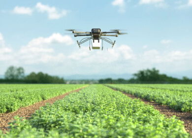Drones drive rapid growth in Mexican agriculture