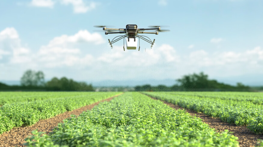 Drones drive rapid growth in Mexican agriculture