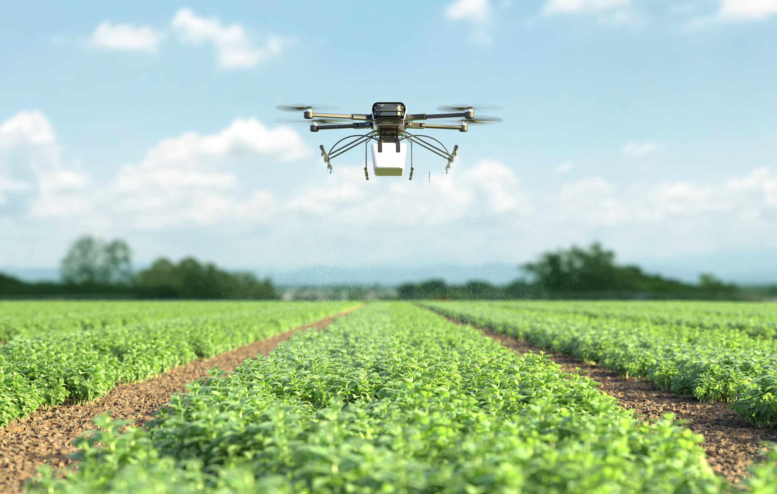 Drones drive rapid growth in Mexican agriculture
