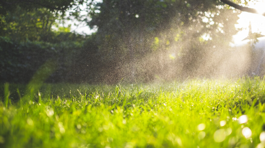 New research suggests that rain-induced soil carbon losses are widely underestimated