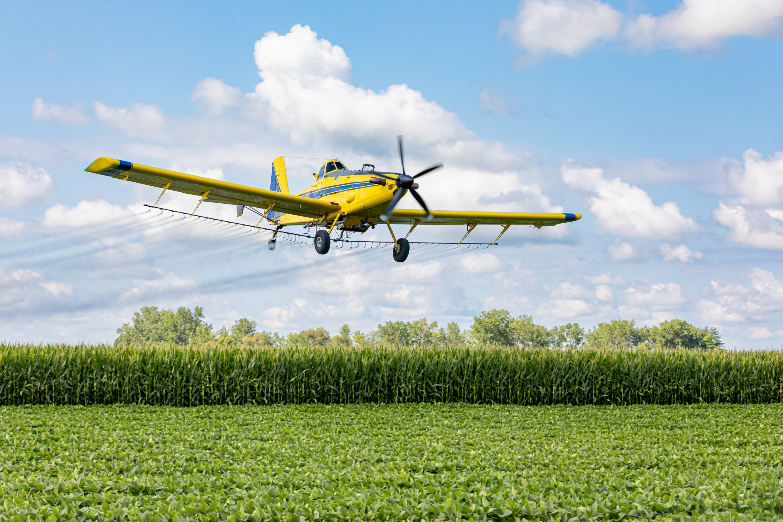 EPA reconsiders dicamba herbicide despite drift and resistance concerns
