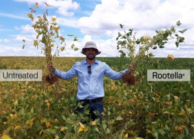 Groundwork BioAg names Alon Werber CEO as co-founder Yossi Kofman becomes chairman