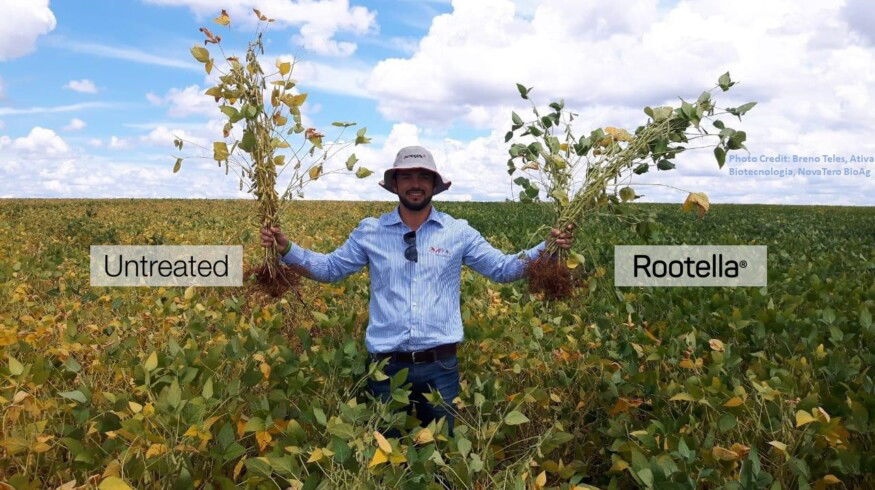 Groundwork BioAg names Alon Werber CEO as co-founder Yossi Kofman becomes chairman