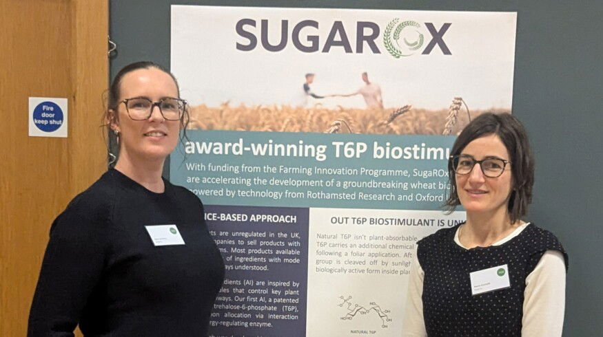 SugaROx secures $1.28 million to advance field testing of biostimulant research