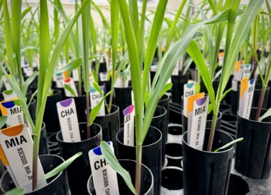 Switch Bioworks strengthens leadership team and relocates to larger R&D facility