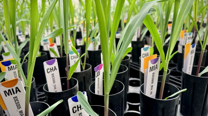 Switch Bioworks strengthens leadership team and relocates to larger R&D facility