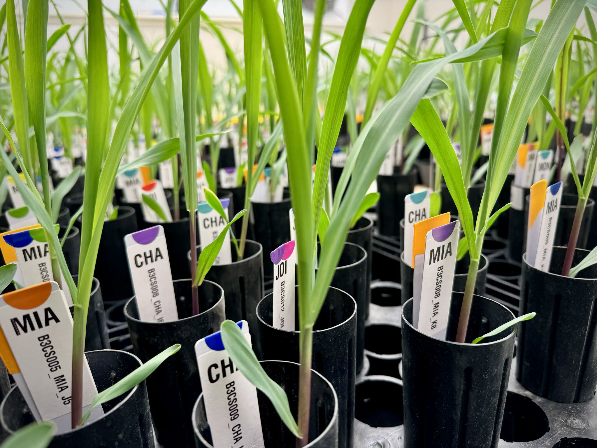 Switch Bioworks strengthens leadership team and relocates to larger R&D facility