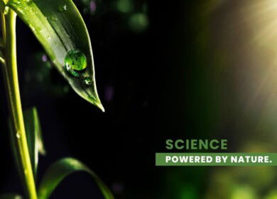 Tidal Grow wins California approval for biofertilizer Spectra