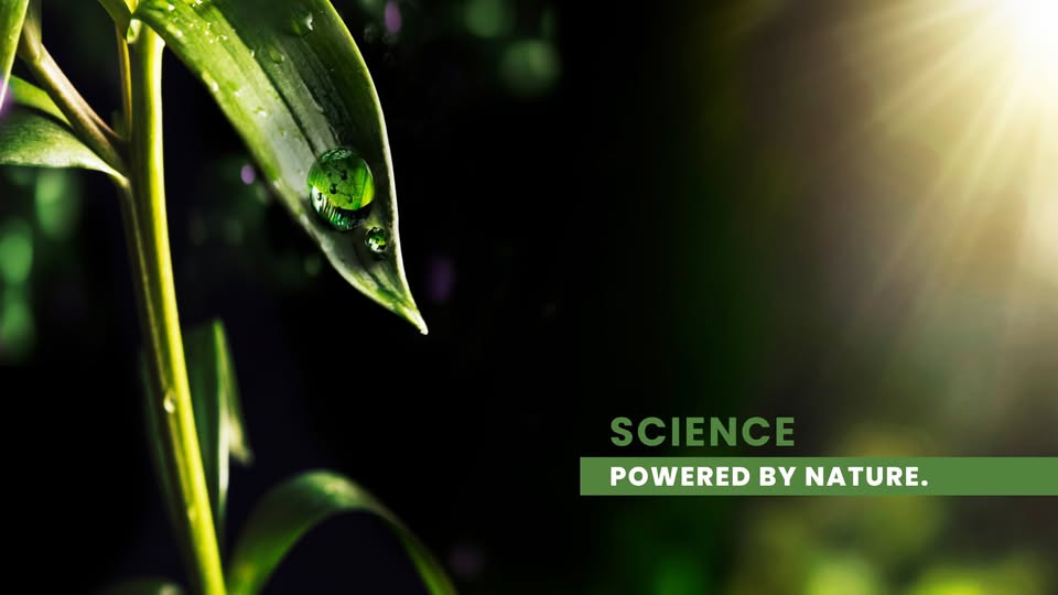 Tidal Grow wins California approval for biofertilizer Spectra