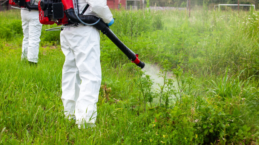 Glyphosate study links herbicide to leukemia and tumors in rats