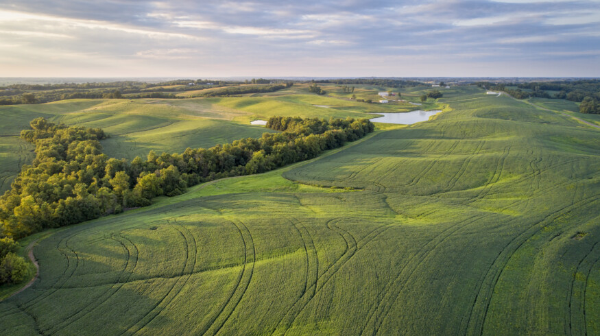 Missouri farmer turns swamp ground into thriving row crop operation