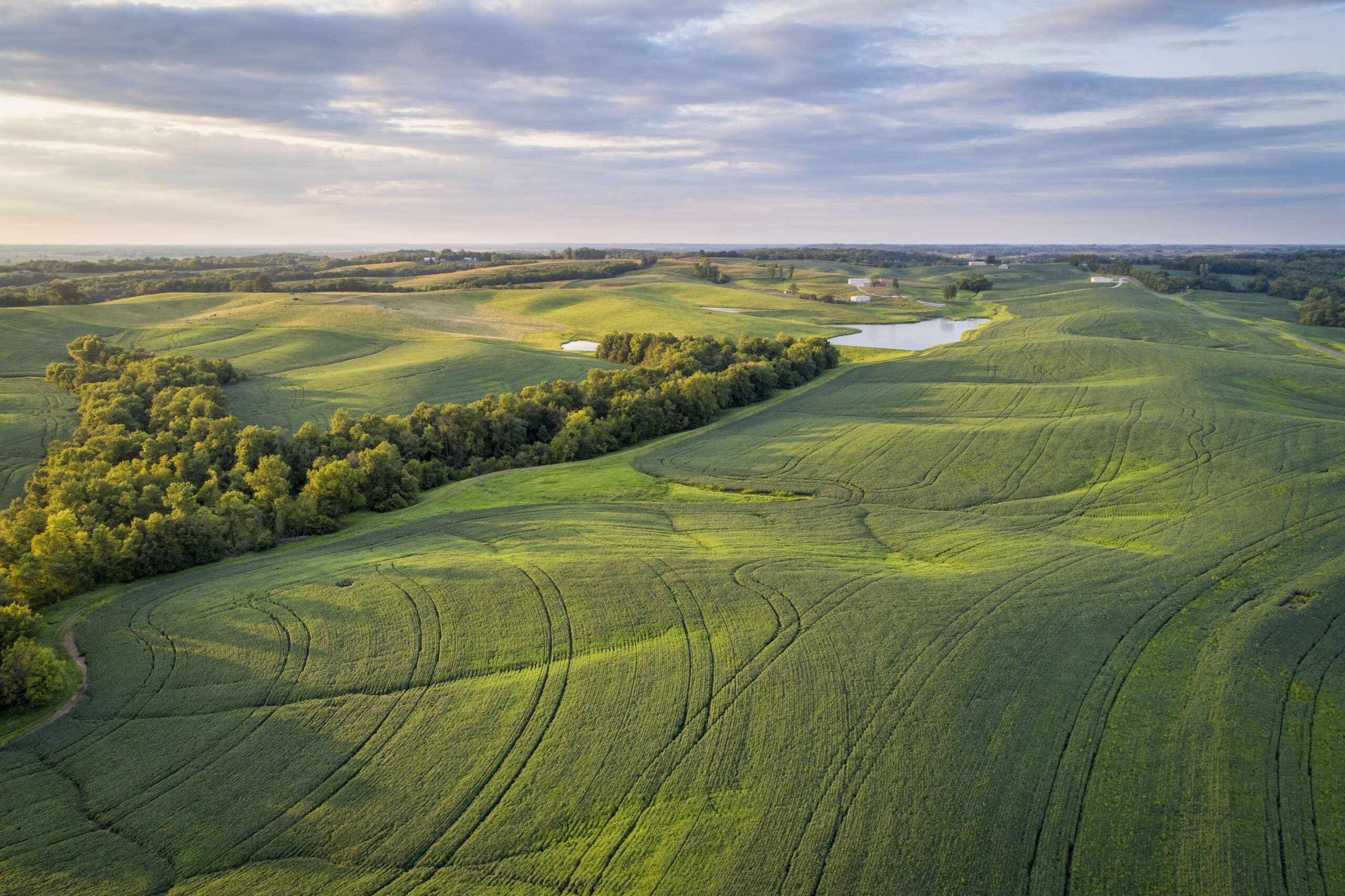 Missouri farmer turns swamp ground into thriving row crop operation