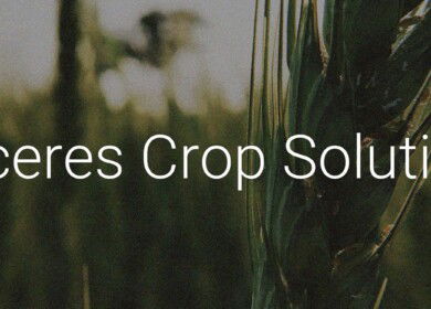 Bioceres reports sharp revenue and profit declines in 2025 fiscal year amid Argentina’s downturn