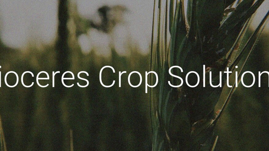 Bioceres reports sharp revenue and profit declines in 2025 fiscal year amid Argentina’s downturn