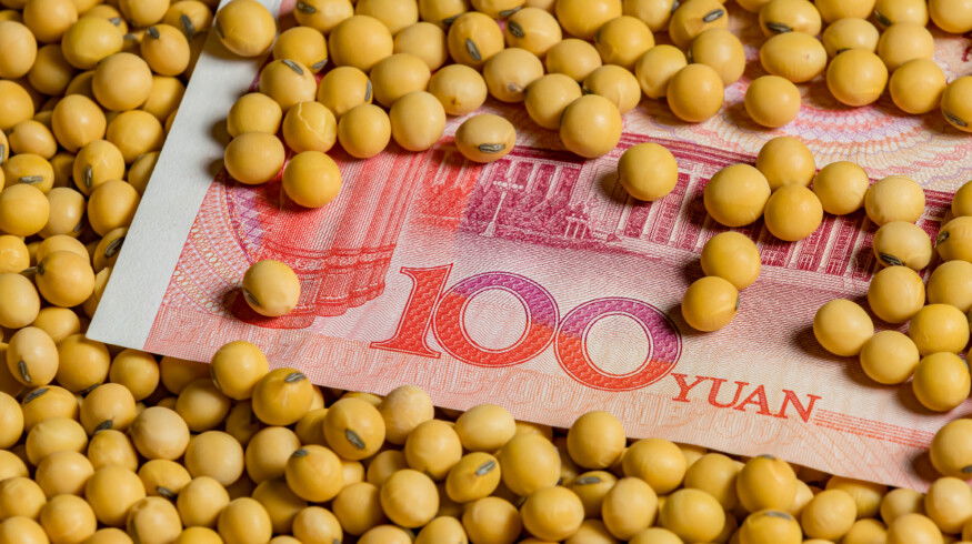 China buys more Argentine soybeans after tax cut, sidelining US suppliers