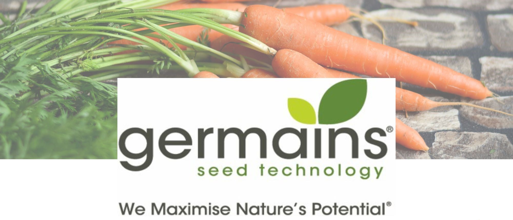 Germains Seed Technology names Helen Fomina as new Managing Director