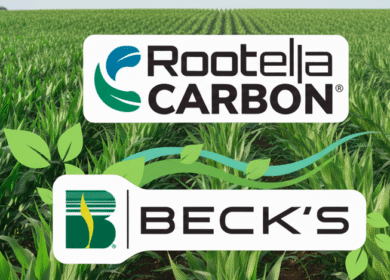 Groundwork BioAg and Beck’s Hybrids launch Rootella carbon for US farmers