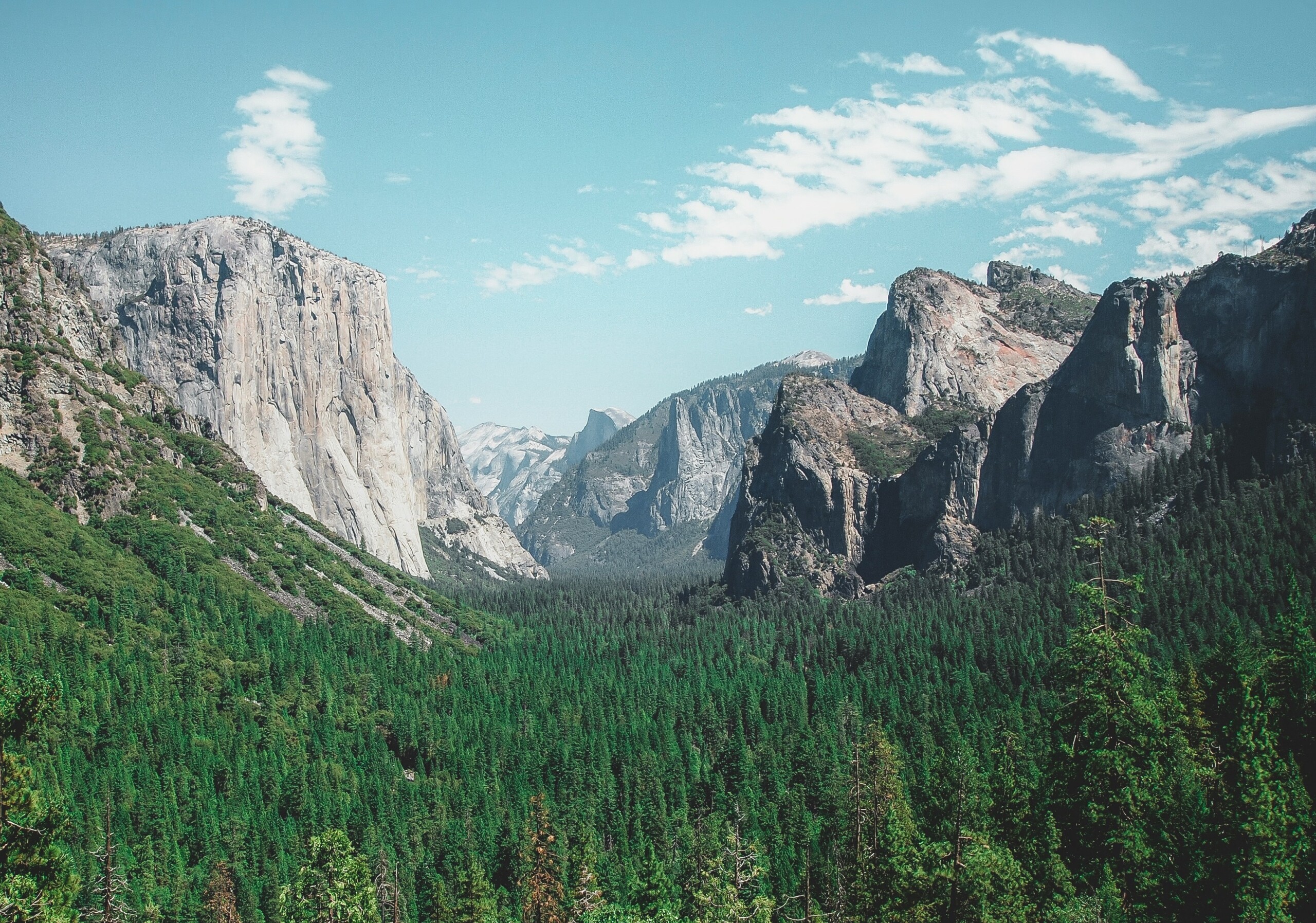 USDA commits $8 million to new forest health and wildfire resilience projects