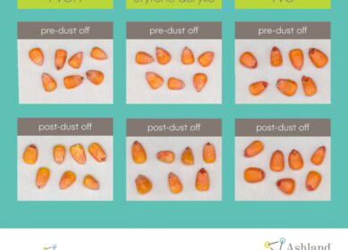 Ashland launches biodegradable seed coating polymer for agriculture